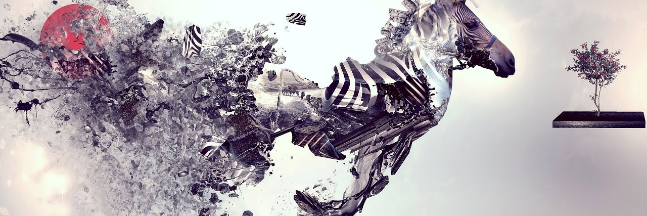pkalamula's profile banner image