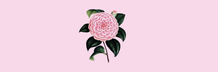 nesssugh's profile banner image