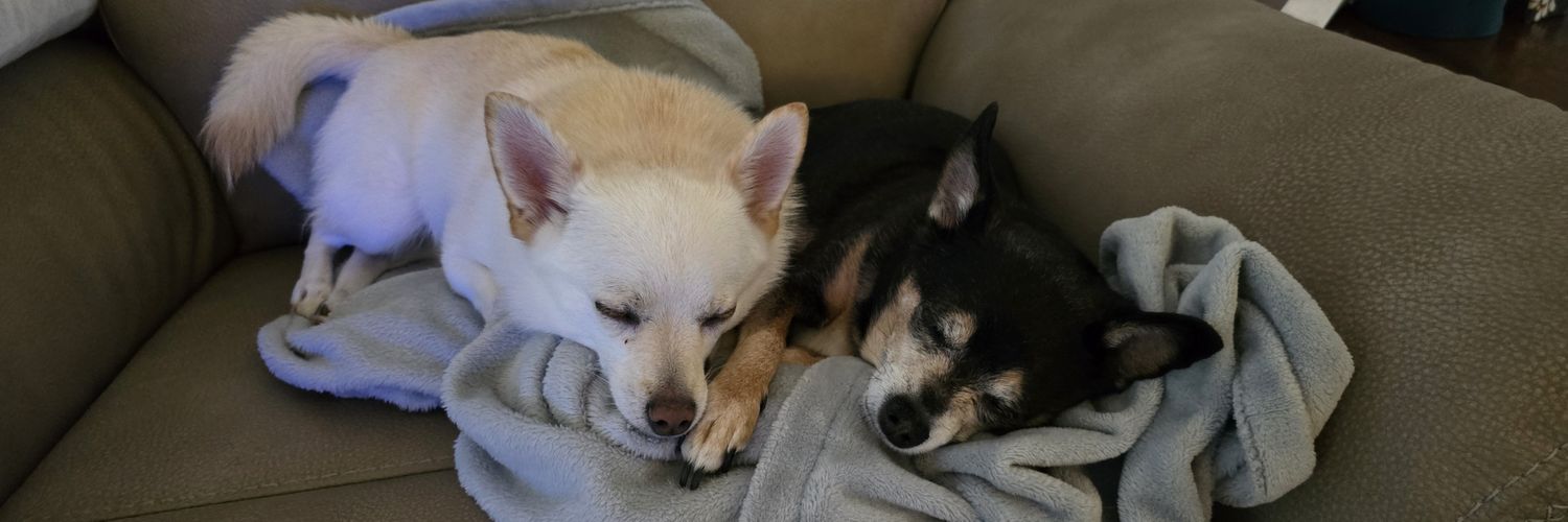 Eddie The Chi Daddy banner