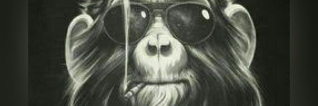LuiizFeeer4's profile banner image