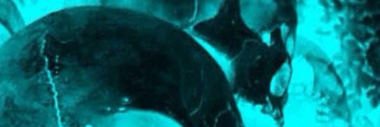 ◠ʏᴏᴜʀ ɴɪɢʜᴛᴍᴀʀᴇ◡ banner