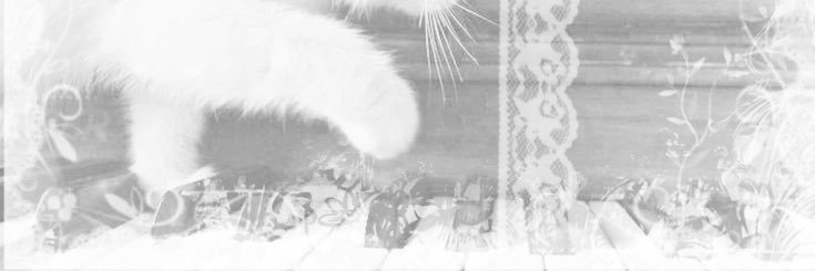 illy ୨୧ banner