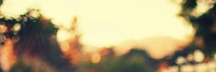 madeleine6's profile banner image