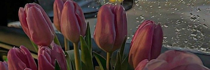 blhblh268443's profile banner image