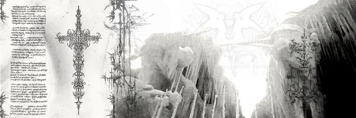 prot banner