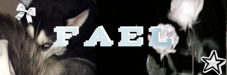 ⤷ ゛🎀 Doguito Fael ˎˊ˗ banner
