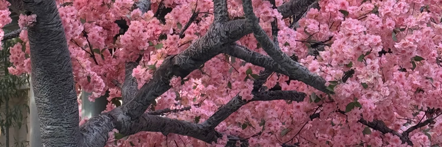 CorralLeslie's profile banner image