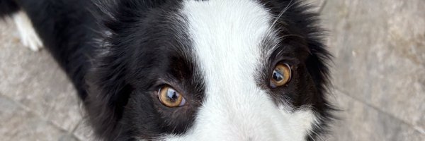 Auroram79479881 Profile Banner