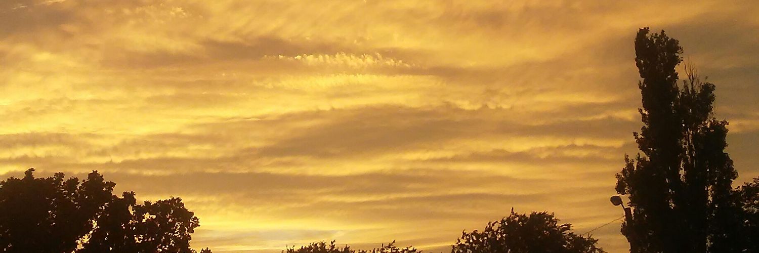 TaylorCastille3's profile banner image