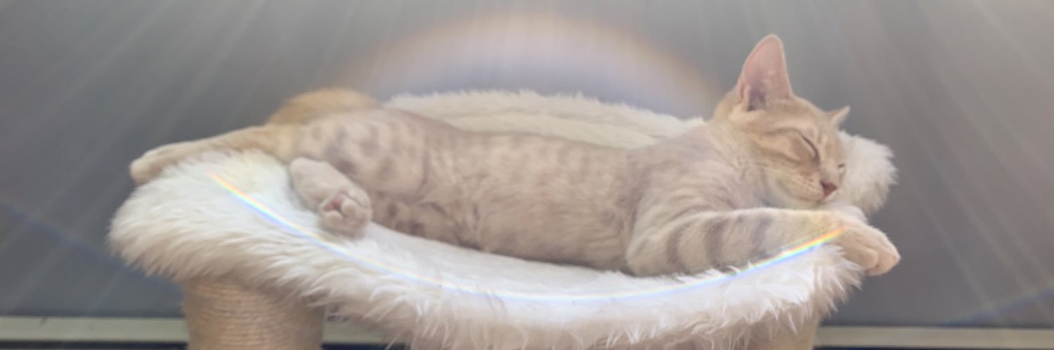 Sara_Lebo's profile banner image