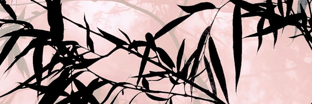 ‍ ‍ ‍ ‍ ‍ ‍ geto͟. ‍ ‍ ʾʾ ‍ banner