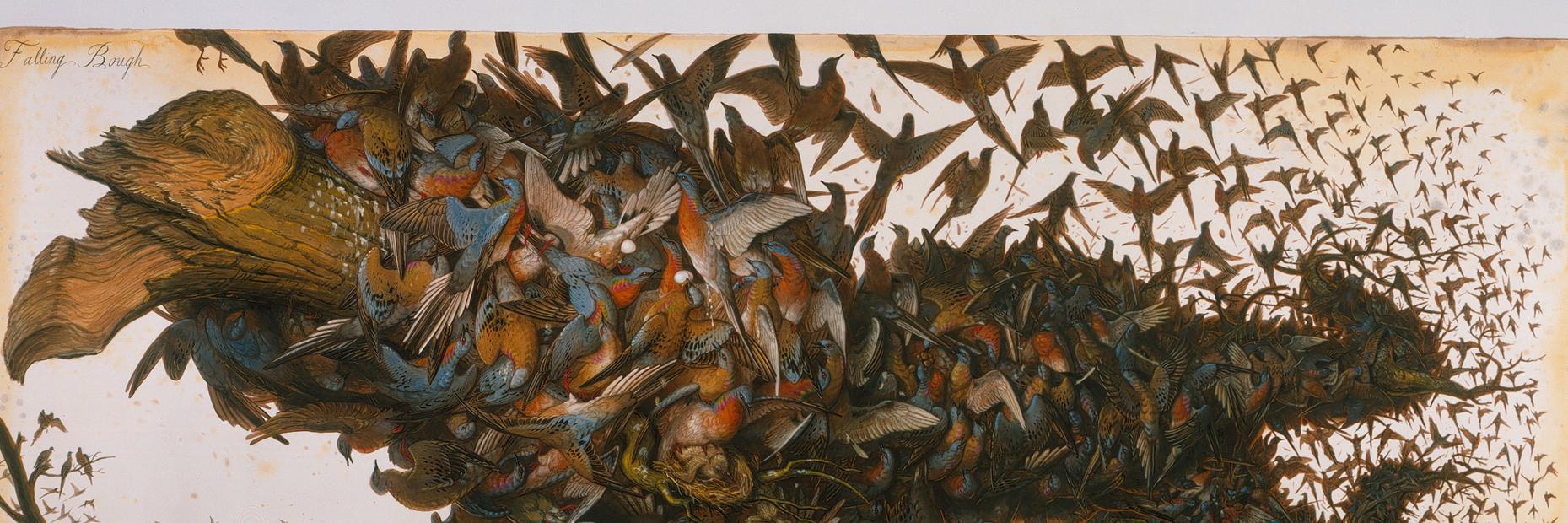bengeary's profile banner image
