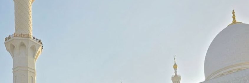 Ariel banner