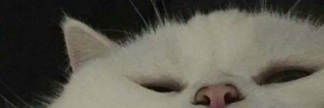 AlbertoVihar's profile banner image