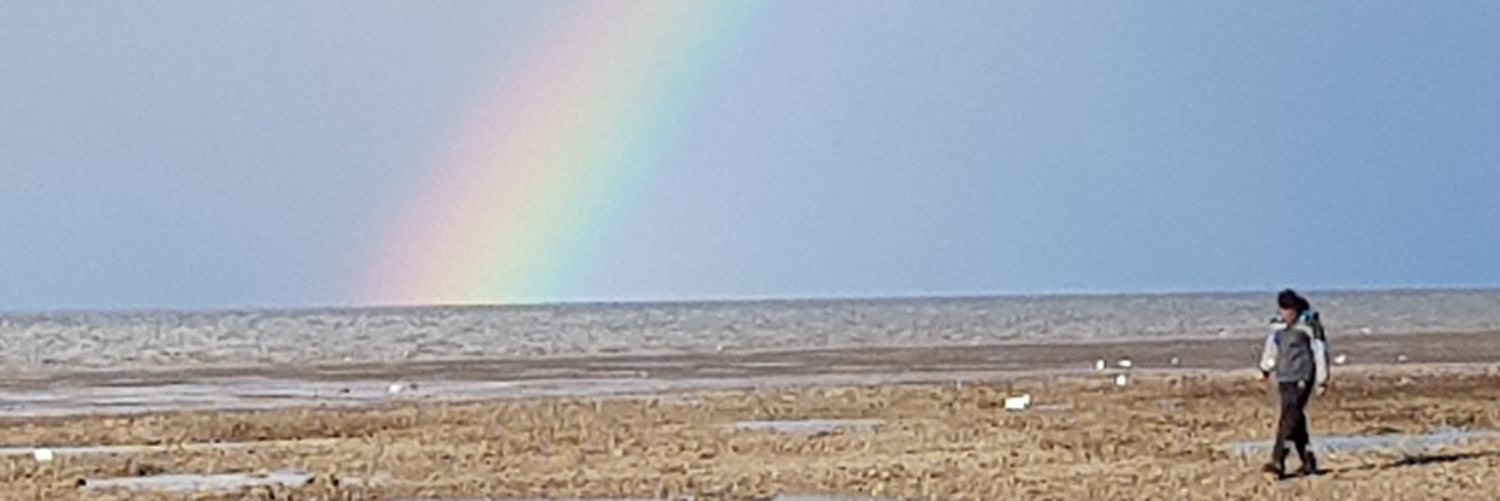 vixsixsix banner