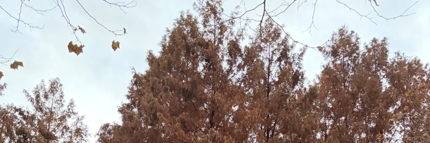 Nothing special banner