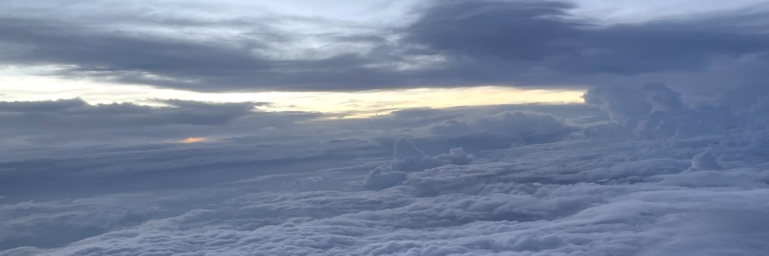 Wicholokots's profile banner image