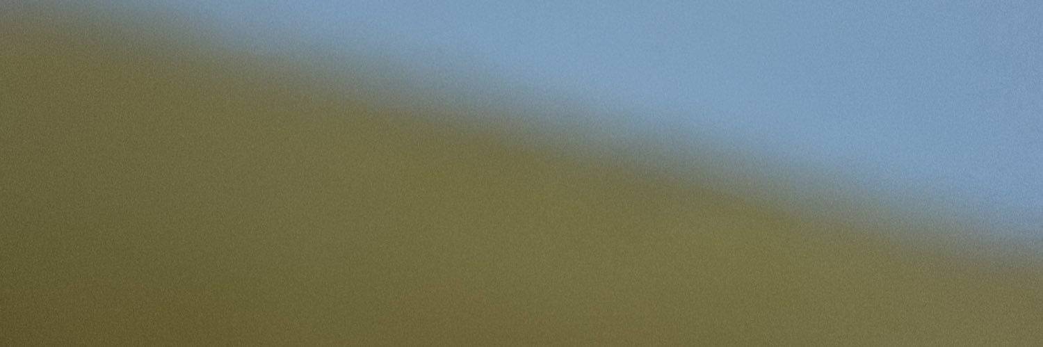 Eiravine banner
