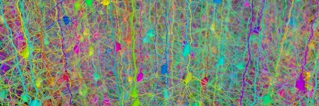 BrainSleeps's profile banner image