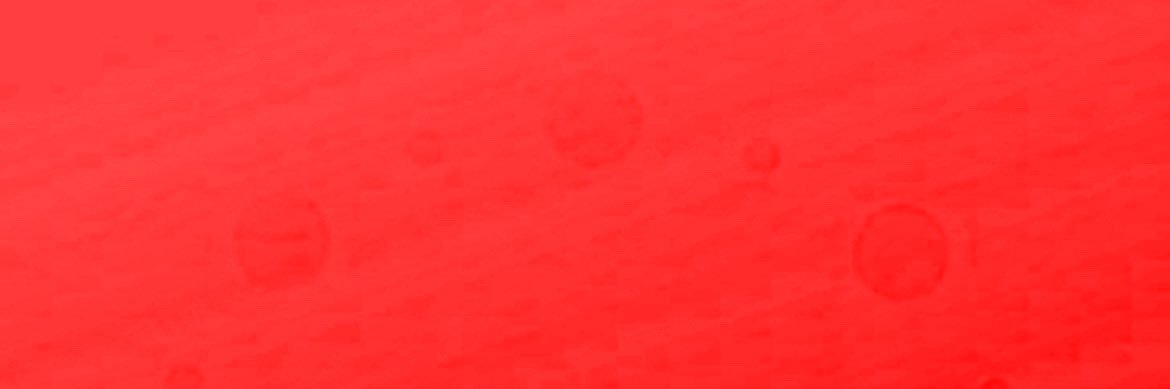 KRT Prodigies banner