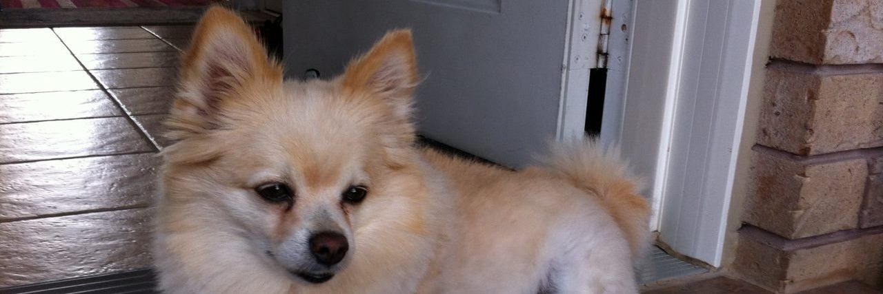 Tim_Phimm's profile banner image