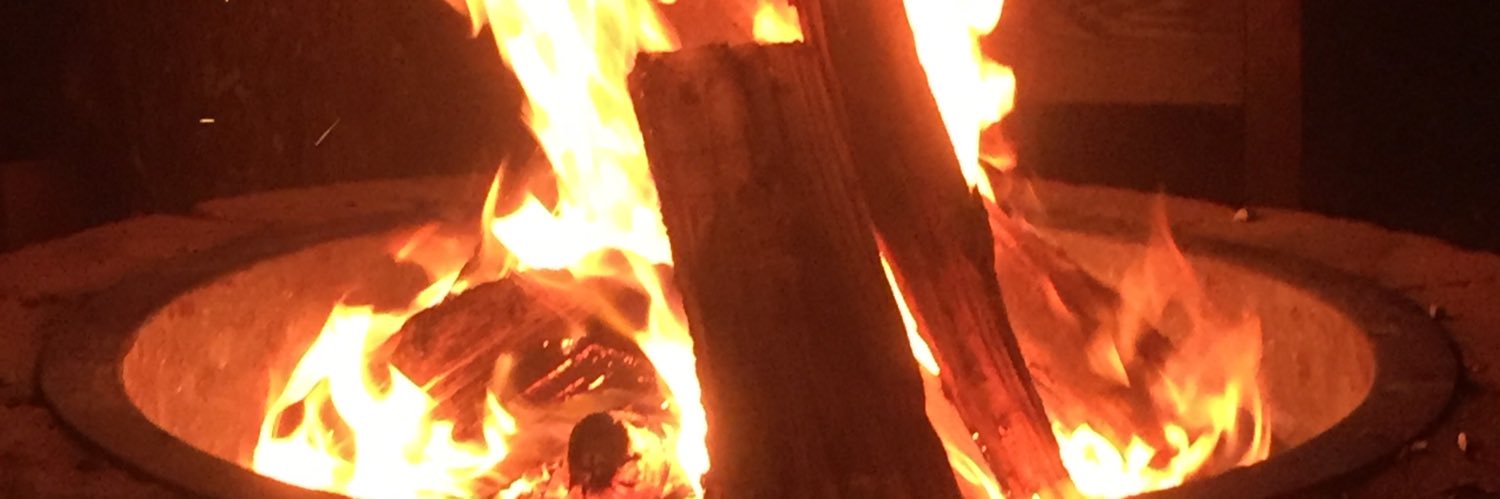 AnneAbsalom's profile banner image