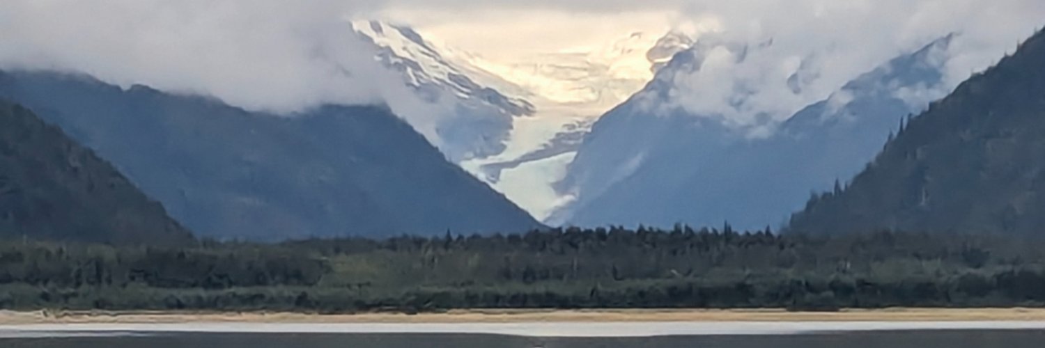 laurelj24's profile banner image