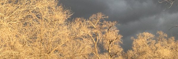 ellnhank Profile Banner