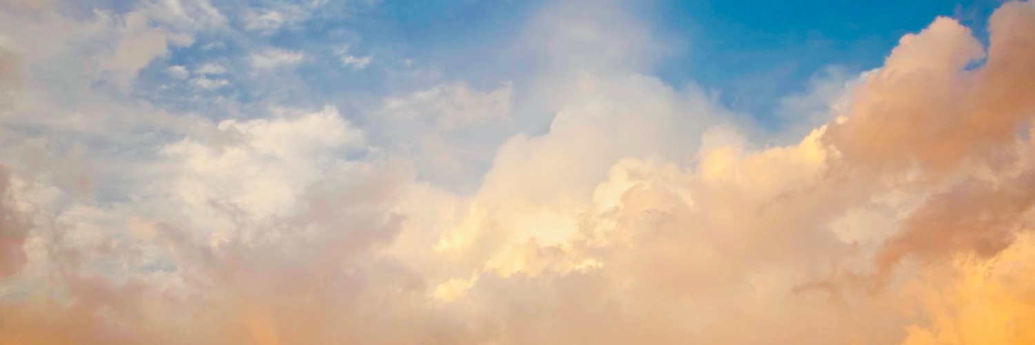 Consilium_Inst's profile banner image