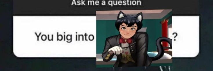 Timmy Timepiece🐈‍⬛️🕰 banner