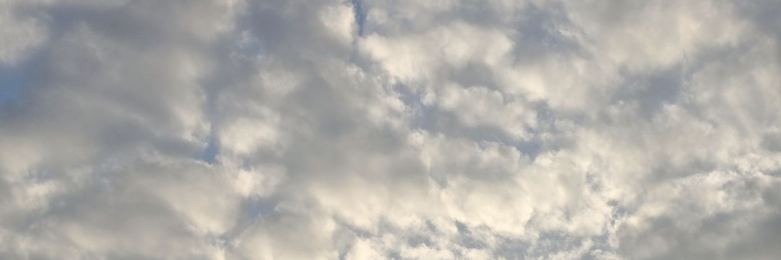 不见月下花 banner