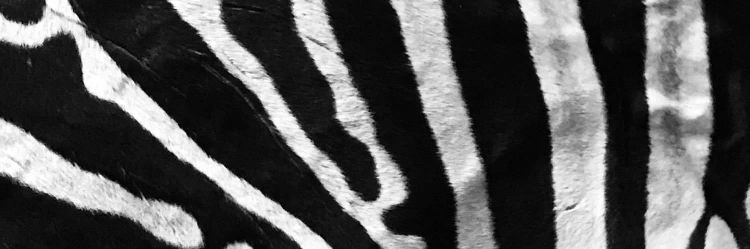 sydboothroyd's profile banner image