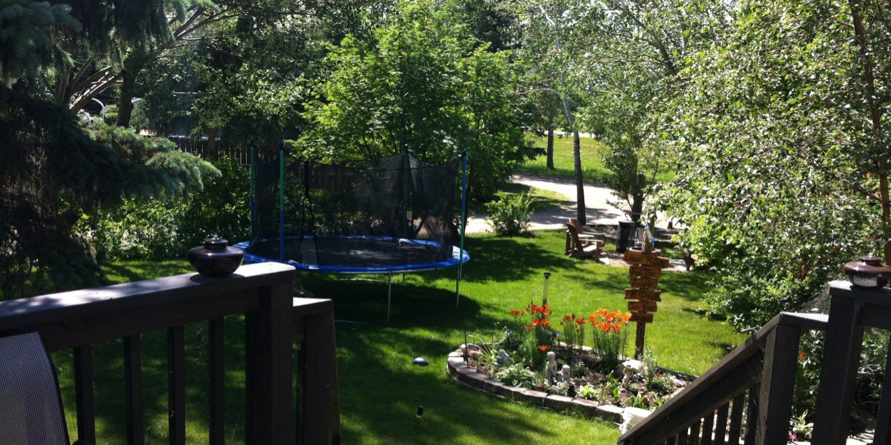 Darcie Krasowski banner