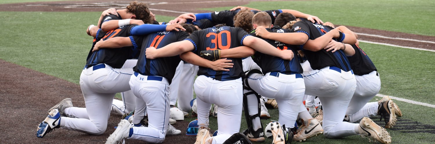 Motor City Hit Dogs 16U banner