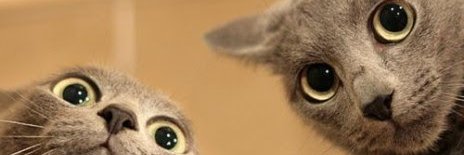 FTWRoguE's profile banner image
