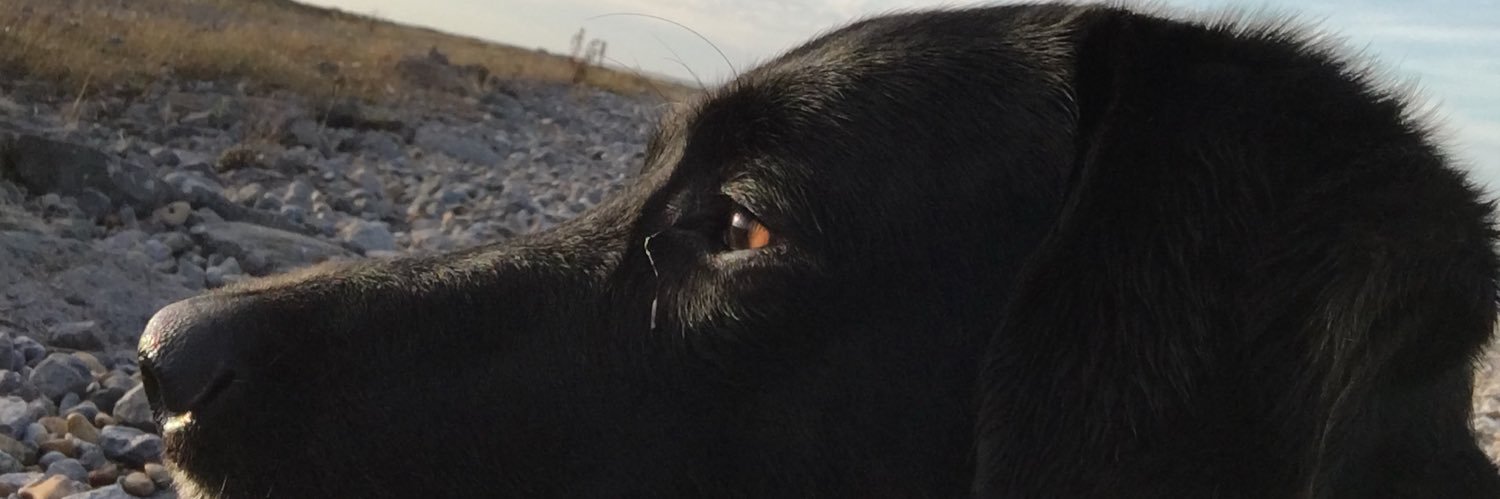 KillipLj's profile banner image