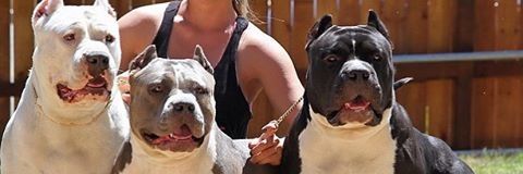 Viagens banner