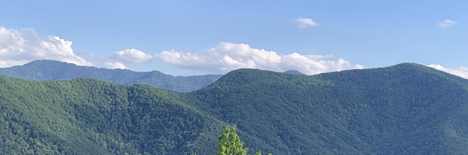 ProfRichardson's profile banner image