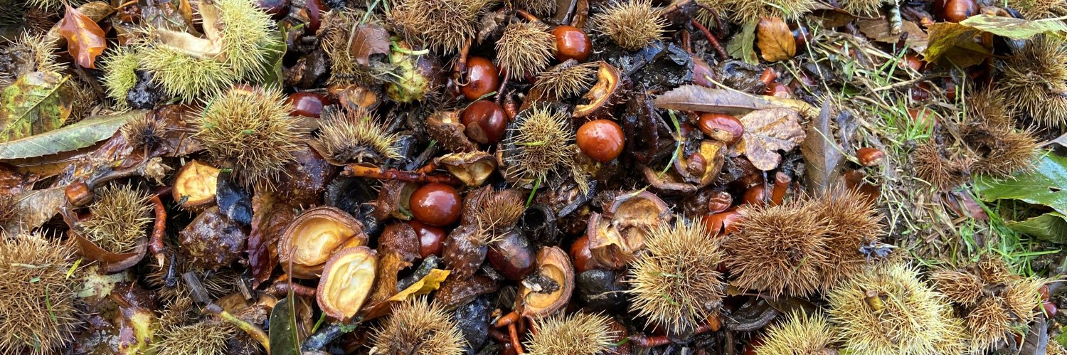 Steven McIntosh banner