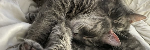 Bribrown___ Profile Banner