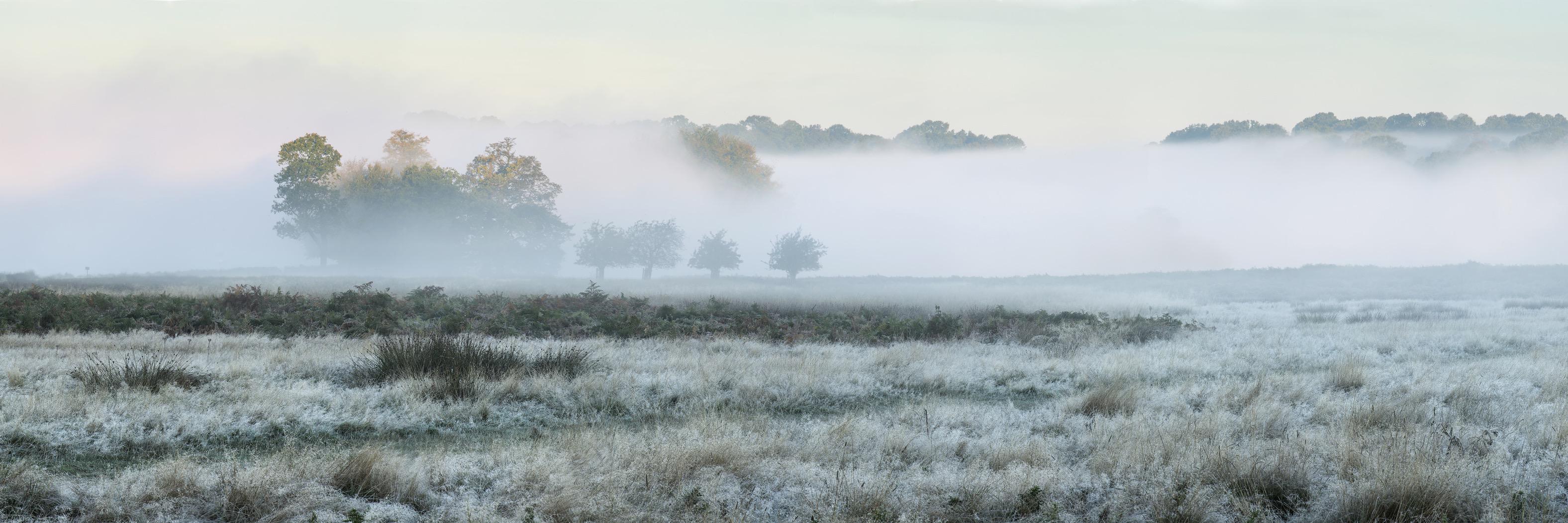 Better Finance banner