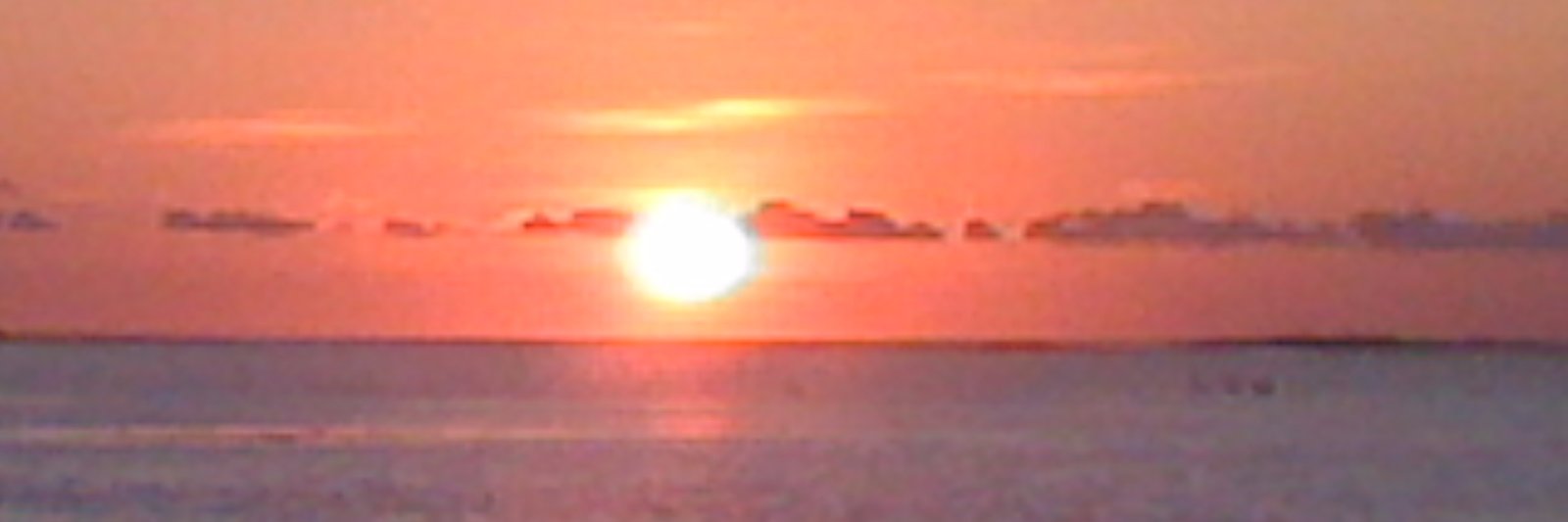 MegEPerk's profile banner image