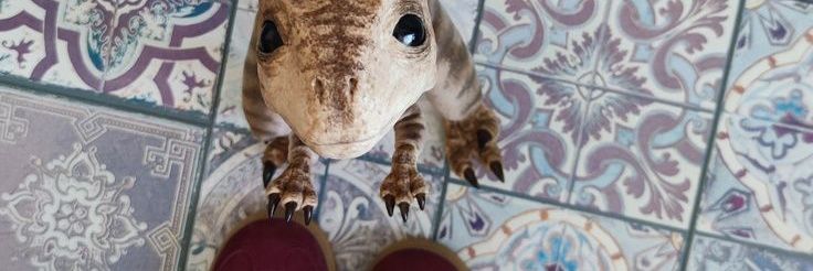 cuddlebeans's profile banner image