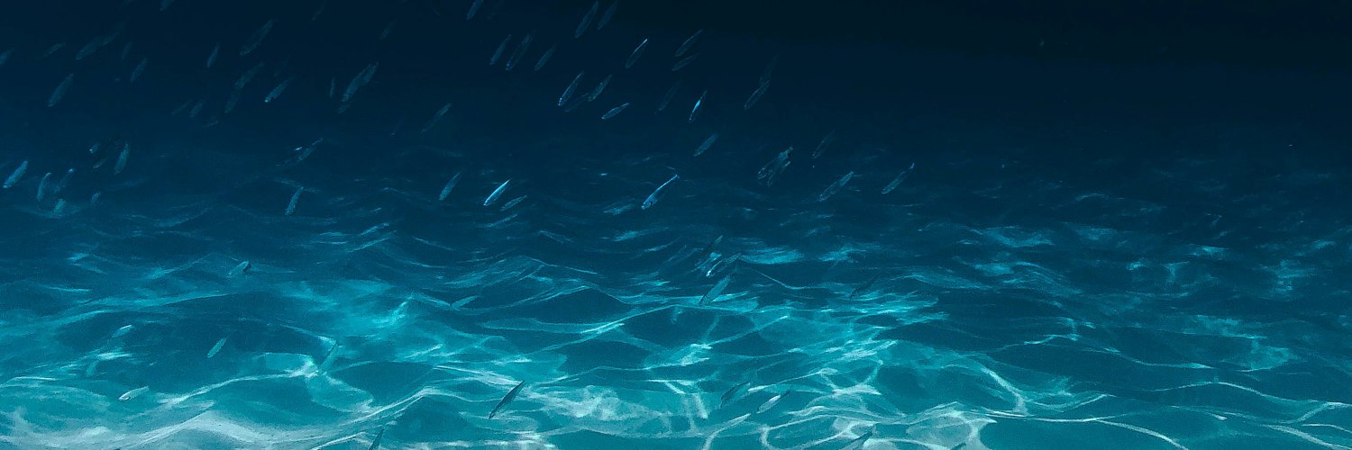 tunafishy0's profile banner image