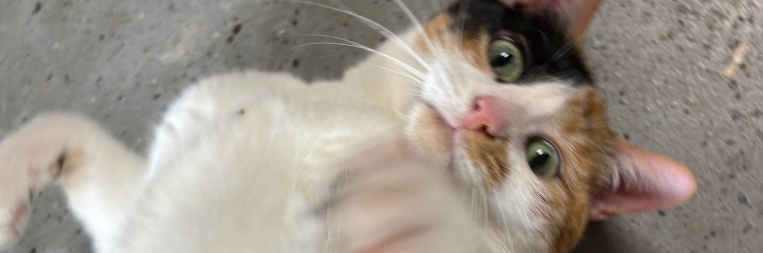 theaveragegay's profile banner image