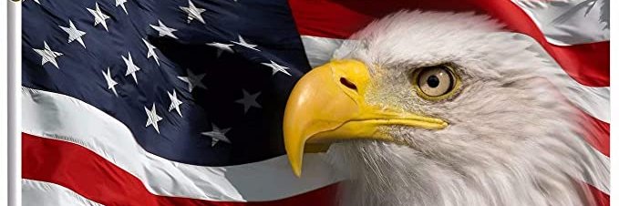 Dooner 🇺🇸💙⚖ banner