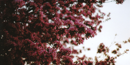 _ill_energy's profile banner image