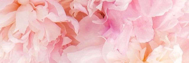 SinayaRene's profile banner image
