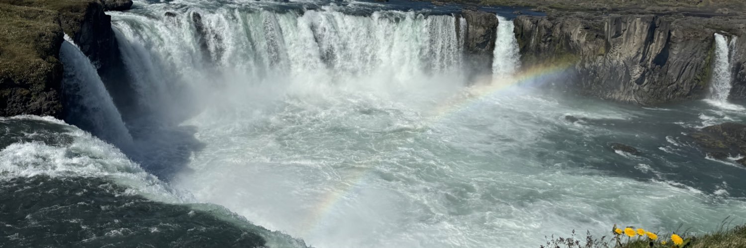 Bullfrog88's profile banner image