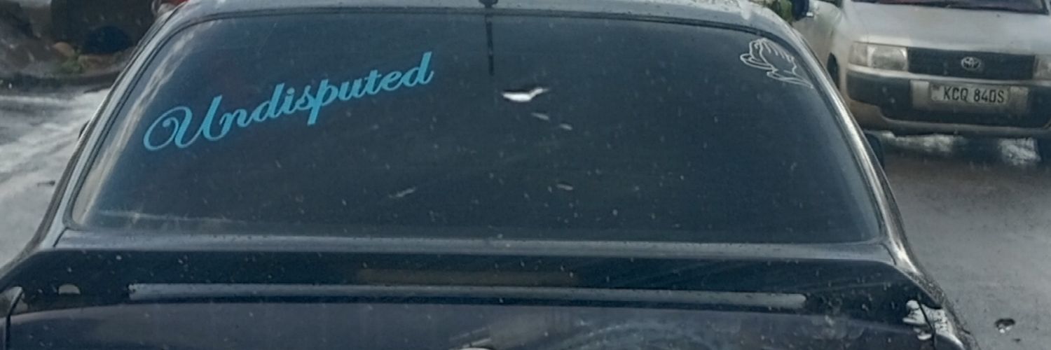 undisputed banner